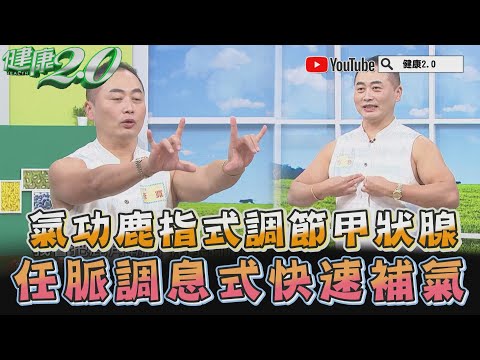 氣功 鹿指式 調節甲狀腺！ 任脈調息式 快速補氣 健康2.0 精華 彥寬老師 @tvbshealth20