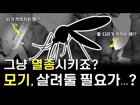 A video I made because I couldn't sleep because of mosquitoes