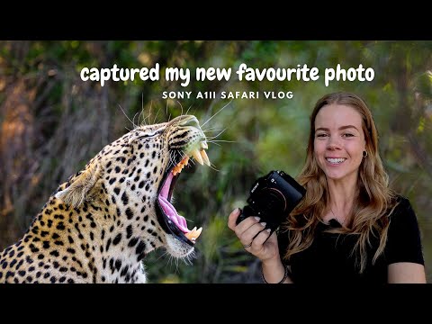 Testing the New Sony A1ii for Wildlife Photography - Safari Vlog