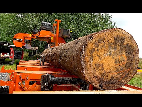 From Giant Trees to Roof Beams — Mobile Sawmill, Old Tractor & Work in the Forest… then Rain