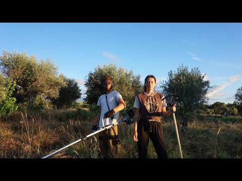 It's Been Intense (What We Haven't Told You)