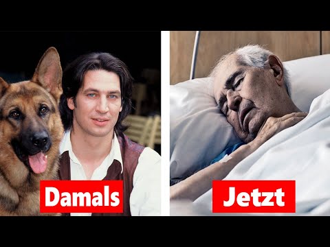 Kommissar Rex (1994) / So sehen die Stars HEUTE aus 2025!