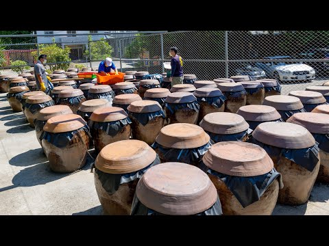 180-DAY PROCESS, Black Soybean Soy Sauce Making/李記醬油(古早味,仙草)/無化學天然醬油製作 - Taiwan Food Factory