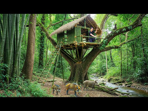 How I Built a Bamboo Tree Shelter to Escape Wild Animals