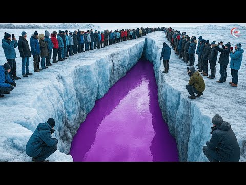 80 EXTREMELY Rare Moments of Nature Caught on Camera! Unbelievable Natural Phenomena