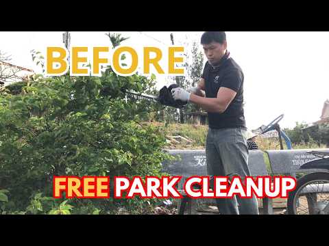I Refused the Money and Cleaned This Park for Free With My Community