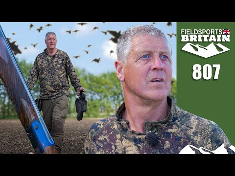 Fieldsports Britain – Crow on the crows