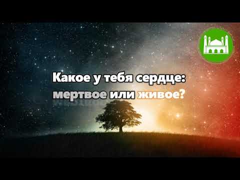 🔉 Хутба №160-2 Какое у тебя сердце: мертвое или живое? | Абу Яхья Крымский