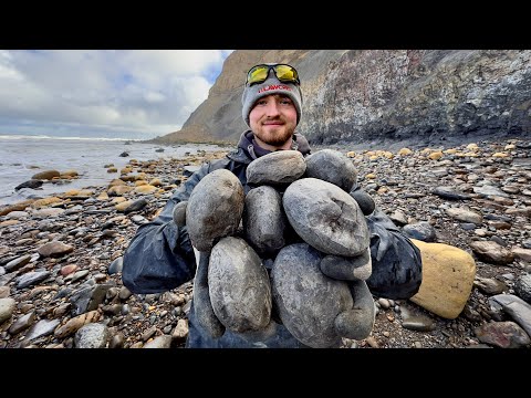 INSANE Fossil Haul After Coastal Storm! Ammonites EVERYWHERE!