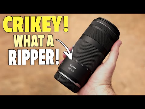 Canon RF 100-400mm Review for Bird and Wildlife Photography