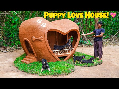 I Built a Heart Shaped Mud House for Rescue Puppies – They Loved It!