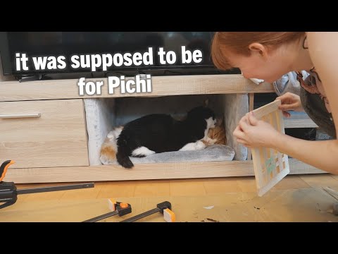 I made a quiet box for our cats