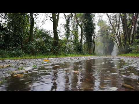 2 Hours of Rain Sounds For Sleeping and Relaxing