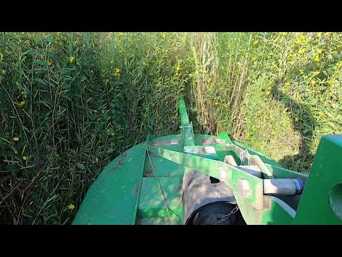 John Deere 1025R with 48 inch Bush Hog REVERSE in tall stuff