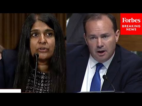 'I've Got A Copy Of It Right Here': Mike Lee Confronts Nominee With Old Writings