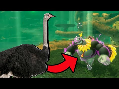 Donkey Kong Is An Ostrich Now