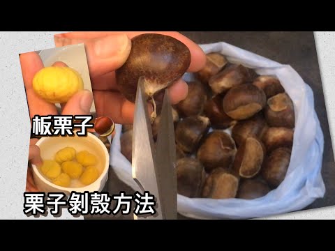 [師奶仔廚房] 栗子剝殼方法參考 板粟子 健脾養胃 補腎 腎之果 最啱煲湯😋