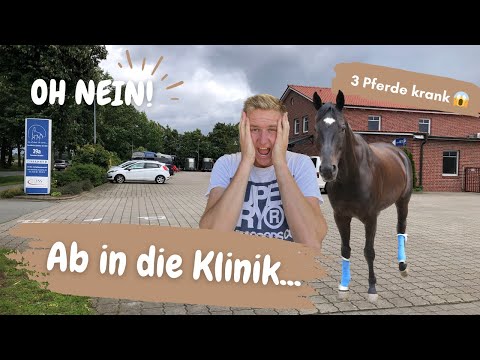 Taking 3 horses to the clinic - bad news😱