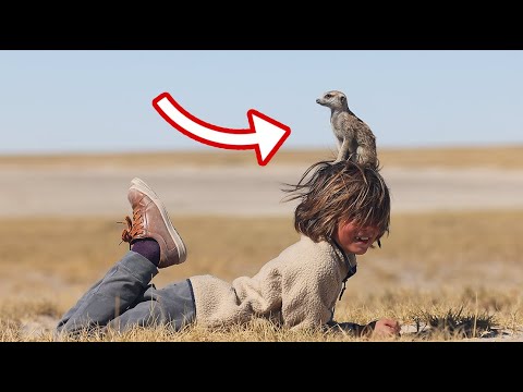 A WILD MEERKAT CRAWLED ONTO OUR BOYS HEAD!! The Bucket List Family Travels to BOTSWANA