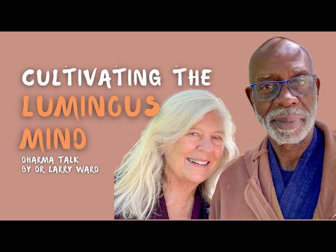 Luminosity Restored: Liberation from the Modern Mind | Dharma Talk by Dr. Larry Ward