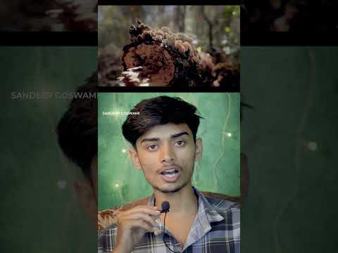 It Came From the Ocean… And It’s Hungry for Plastic! #shorts