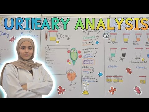 شرح تحليل البول الجزء الأول |Urine analysis 
