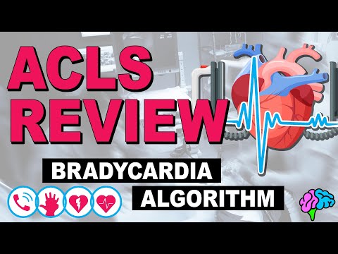 Bradycardia - ACLS Review