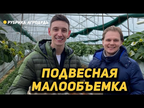 Подвесная малообъемка в Анапе и микрозелень по 1000 руб/кг - Сады Бужора