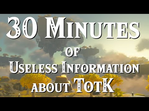 30 Minutes of Useless Information about TotK