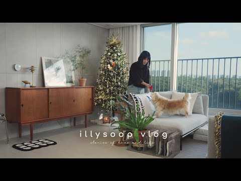 슬기로운 연말 집꾸미기 자세🏡보조주방·드레스룸·운동방 정리 & DIY 식물트레이 | 일상 브이로그