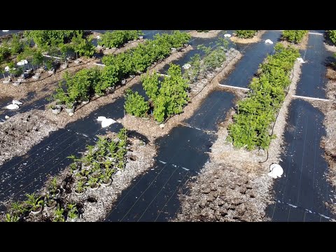 July '24 Plant Sale & Farm Tours
