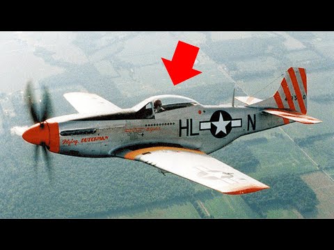 German Pilots Laughed at the P-51D, Until Its Six .50 Cals Fired 1,200 Rounds in 15 Seconds