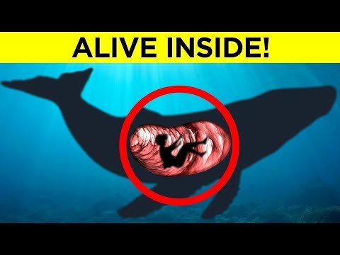 When People Were Found in IMPOSSIBLE Places - Part 2