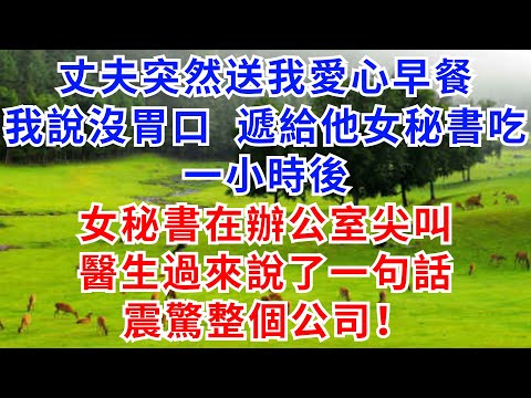 丈夫突然送我愛心早餐，我說沒胃口，遞給他女秘書吃，一小時後，女秘書在辦公室尖叫，醫生過來說了一句話，震驚整個公司！【雲裳書苑】#情感故事#故事#小說#戀愛#情感#婚姻