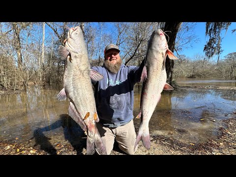 We filled a cooler with HUGE CATFISH! ~Catch, Clean, Cook~