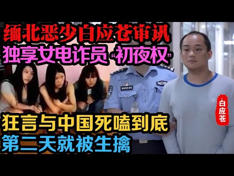 | 真实事件 | 缅北电诈白应苍最新审讯：“ 白家在政、军两界属于最大的，各政府部门有什么事都要请示白家。”真实案件 | 案件解说