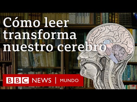 Cómo leer transforma el cerebro y los riesgos que pueden surgir debido al exceso de pantallas