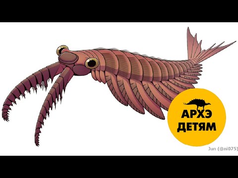 Мир кембрийских монстров | Ярослав Попов (выпуск 13)