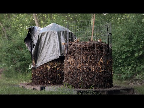 Creating Your Own Fertility | Successes and Challenges at Assawaga Farm