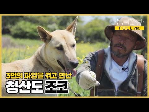 [풀버전] 여유롭고 고요하던 기윤 씨 삶에 활력을 불어넣어준 강아지 조코!🐶 | 동물극장 단짝 EP16 | KBS 220514 방송