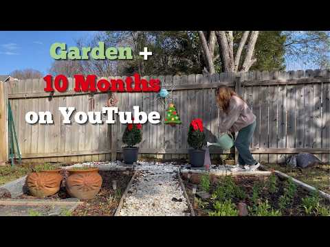 December Flower Garden 🎄 10 Months Filming My Garden on YouTube 🎄 See How the Garden Changed Zone 8B
