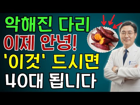 90세에도 다리를 강하게? 매일 '이것' 드시면 요양원 절대 안 갑니다 | 노인 건강 | 의사가 말하는 영양