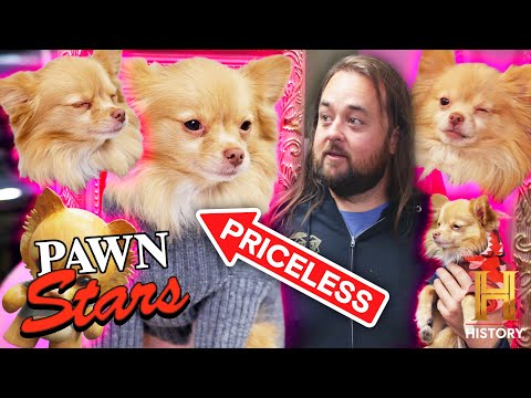 Chum and His Sidekick Pinky! | Compilation | Pawn Stars