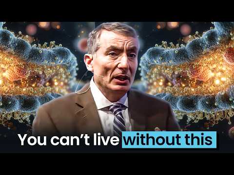 The Secret Complexity Inside Every Living Cell