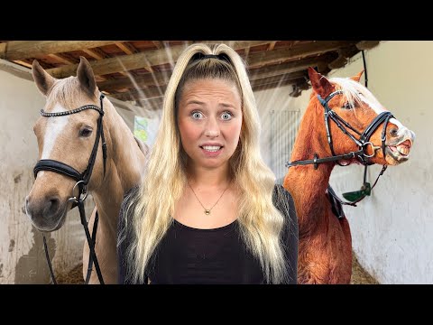 Ich VERSORGE ALLE TIERE in der Hof WG