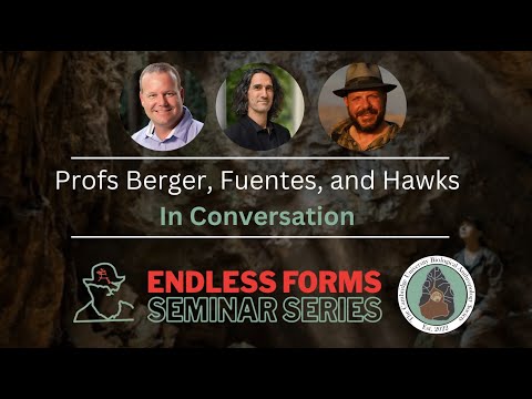 Reimagining human origins: the Homo naledi paradox