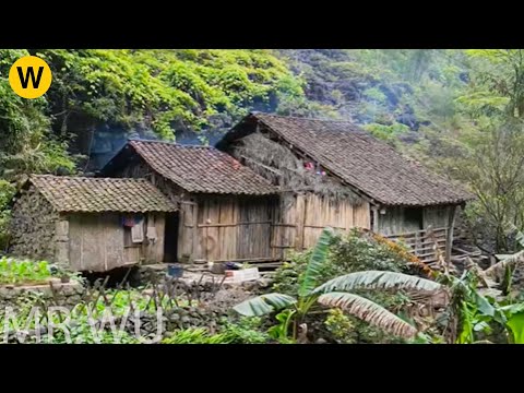 Debt default, the poor man went to the forest renovated the abandoned house
