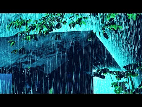 Enchanting You to Sleep with Nature Heavy Rain Sounds and Gentle Thunder Over a Tin Roof