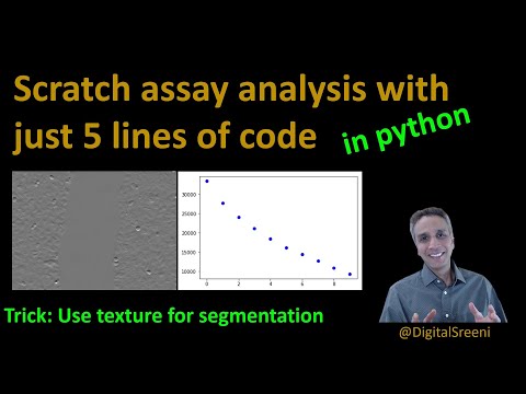 21 - Scratch assay analysis with just 5 lines code in Python