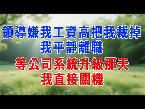 領導嫌我工資高把我裁掉，我平靜離職，等公司系統升級那天，我直接關機。#原创视频 #人生感悟 #故事分享 #故事頻道 #生活經驗 #职场 #打脸